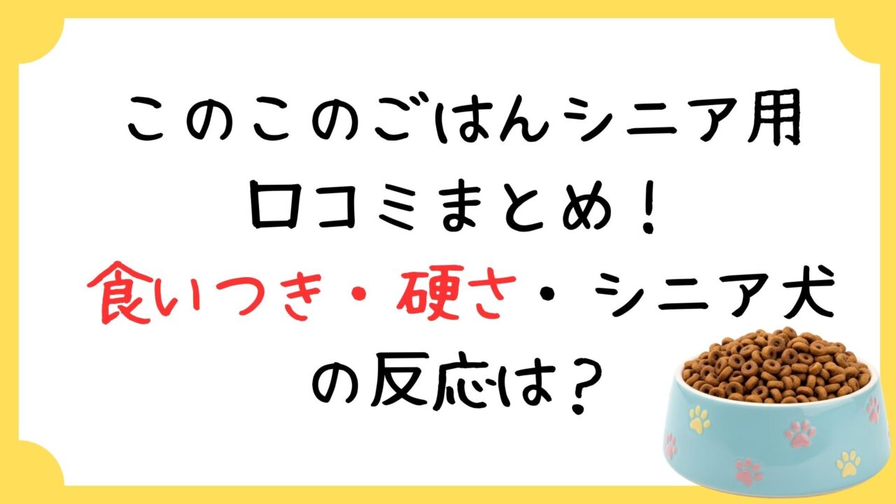 このこのごはんシニア用の口コミまとめ！食いつき・硬さ・シニア犬の反応を調査
