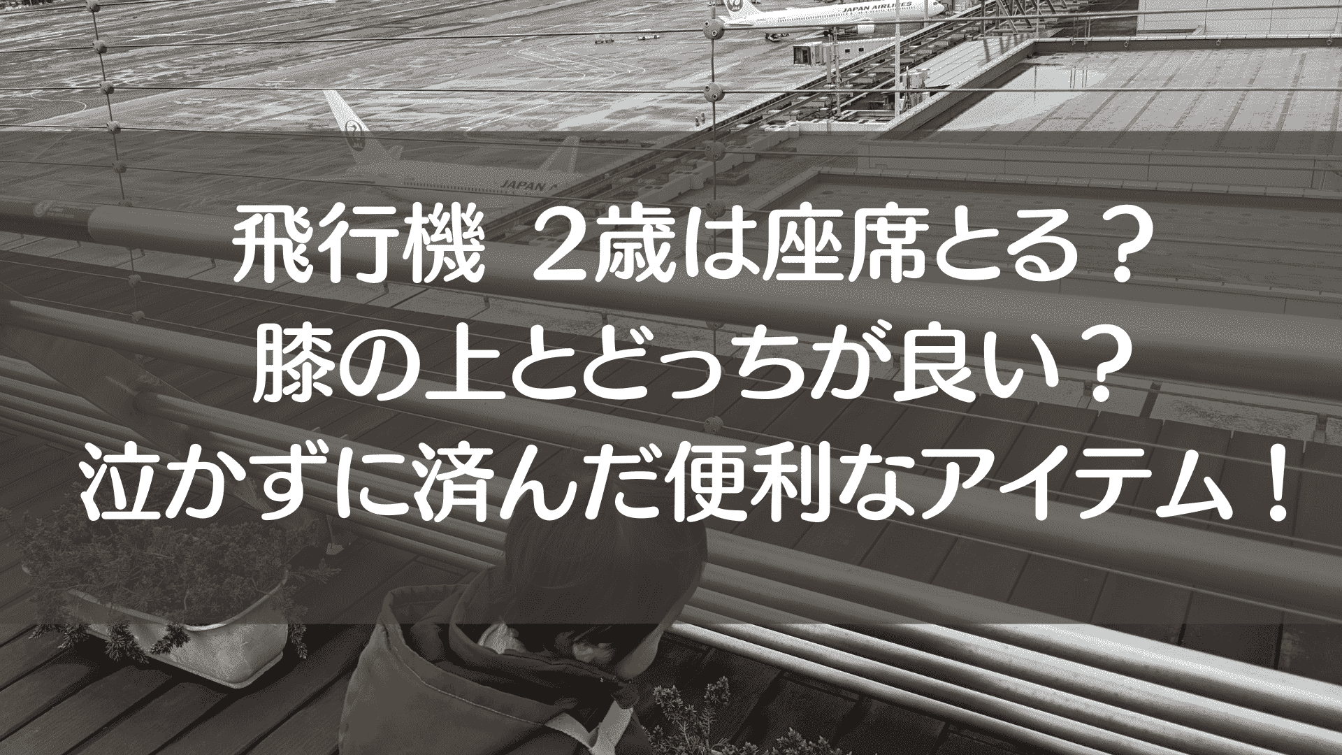 飛行機　2歳座席取る？膝の上？泣かずに済んだアイテム