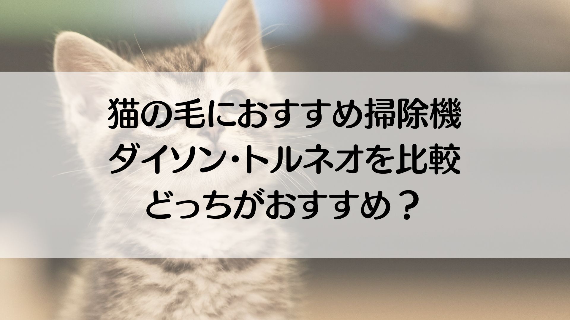 猫の毛におすすめ掃除機　ダイソン　トルネオ　比較　おすすめ